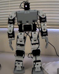robo.jpg